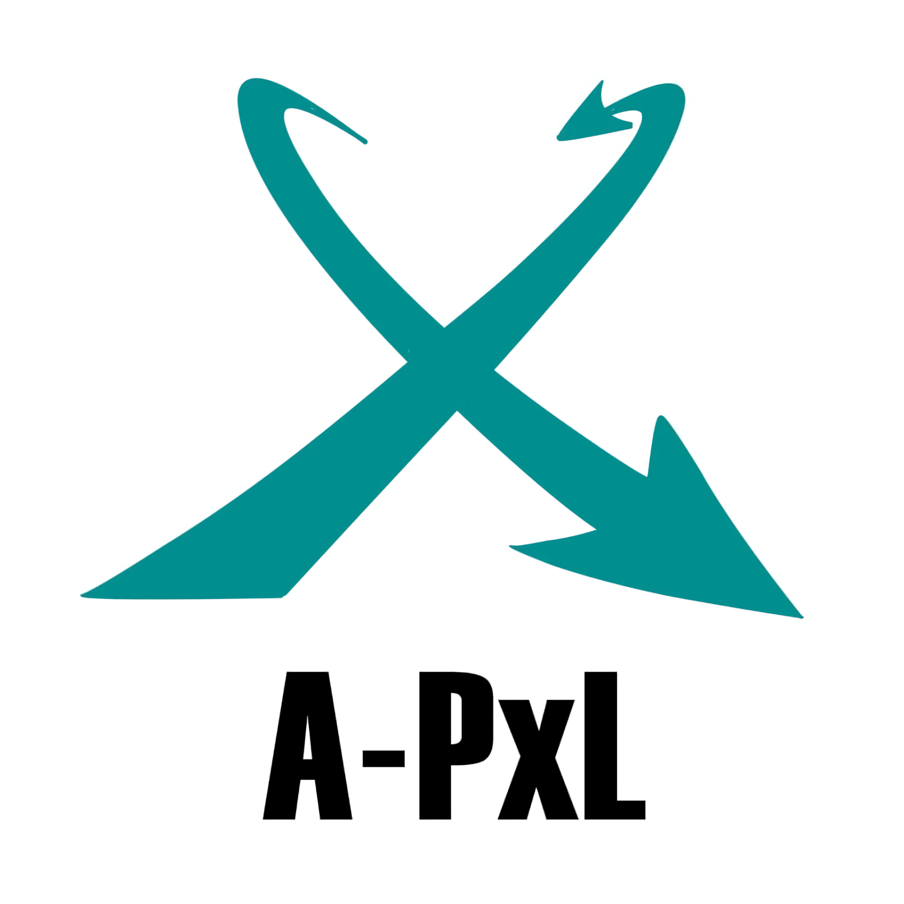 aizu_pxl