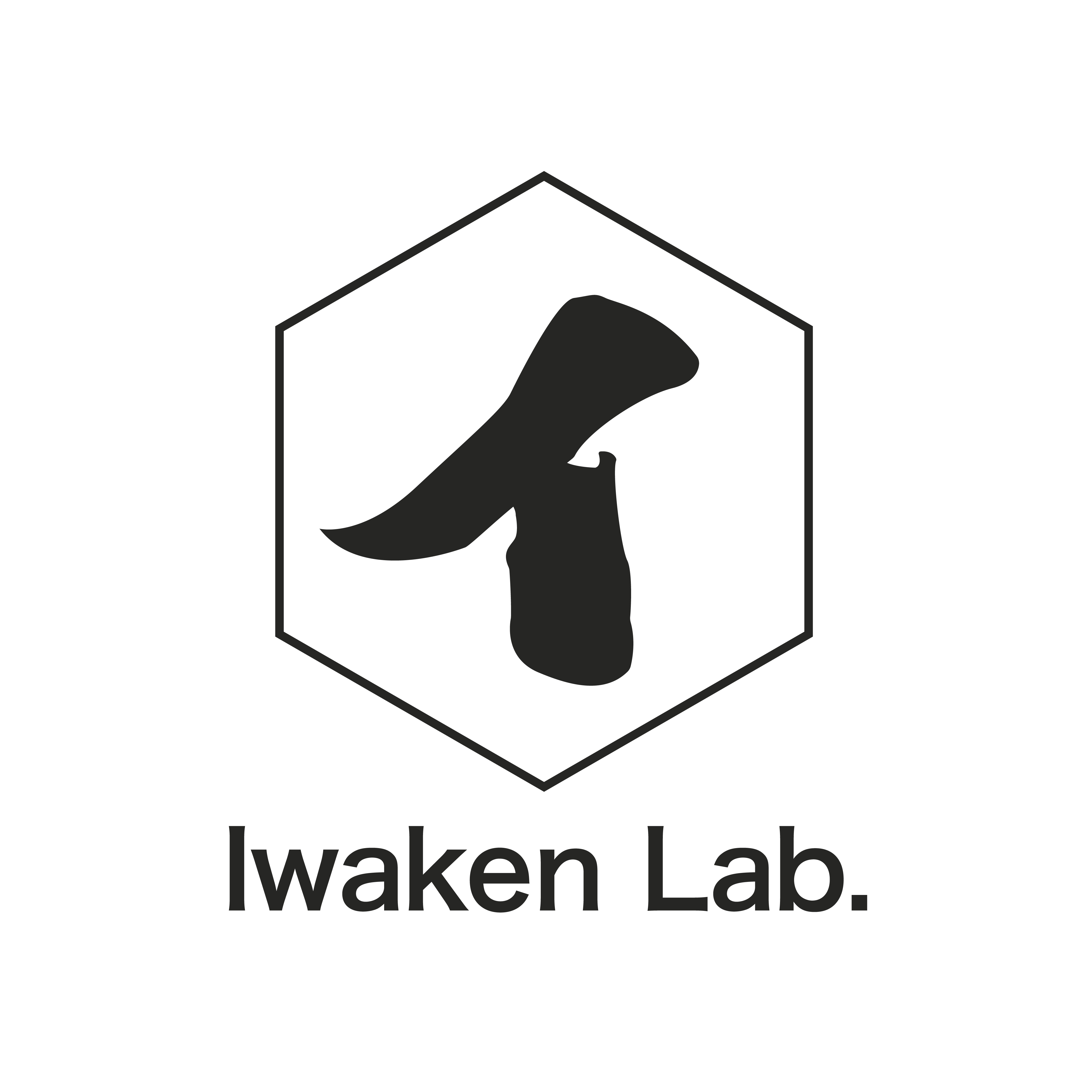 iwakenlab